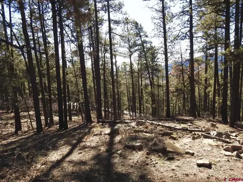 122 Timber Dr, Bayfield, CO 81122