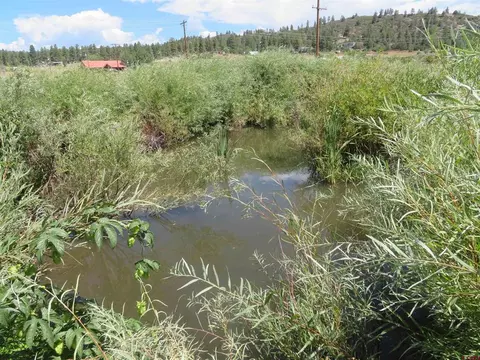 397 River Run Dr, Pagosa Springs, CO 81147