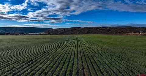 830 Old 6 And 50, Mack, CO 81525