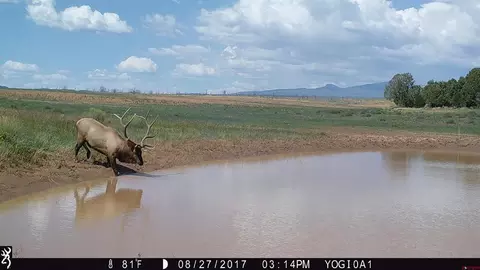 000 Akati Gulch Rd, Hesperus, CO 81326