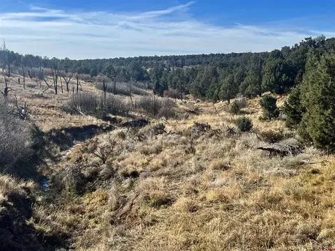 000 Akati Gulch Rd #MAJESTIC ELK RANCH 960, Hesperus, CO 81326