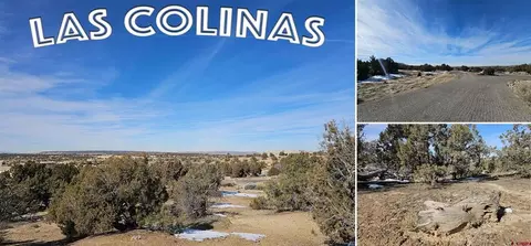 1811 Placitas Trl, Farmington, NM 87401