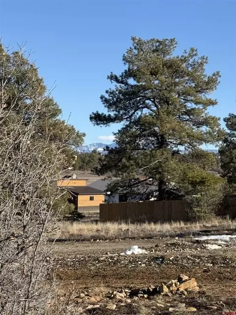 77 Bonita Dr, Pagosa Springs, CO 81147