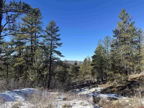 1742 W View Rd, Pagosa Springs, CO 81147