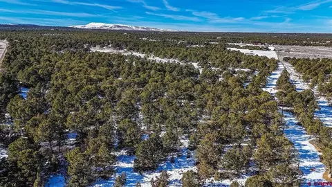 6101 County Road 1 Rd, Montrose, CO 81403 photo 28
