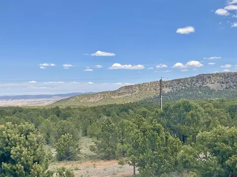 6101 County Road 1 Rd, Montrose, CO 81403 photo 16