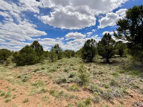 6101 County Road 1 Rd, Montrose, CO 81403 photo 14
