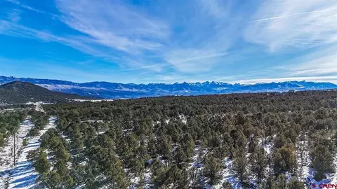 6101 County Road 1 Rd, Montrose, CO 81403 photo 39