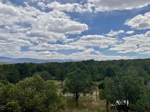 6101 County Road 1 Rd, Montrose, CO 81403 photo 18