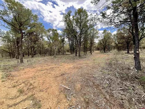 6101 County Road 1 Rd, Montrose, CO 81403 photo 5