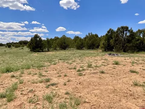 6101 County Road 1 Rd, Montrose, CO 81403 photo 8
