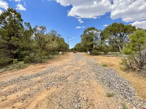 6101 County Road 1 Rd, Montrose, CO 81403 photo 22
