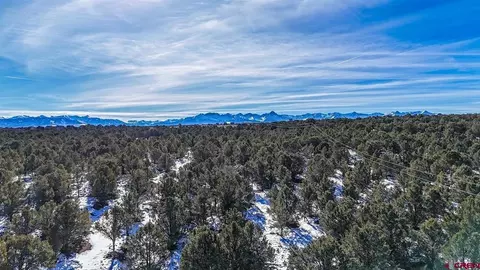 6101 County Road 1 Rd, Montrose, CO 81403 photo 38