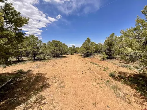 6101 County Road 1 Rd, Montrose, CO 81403 photo 11