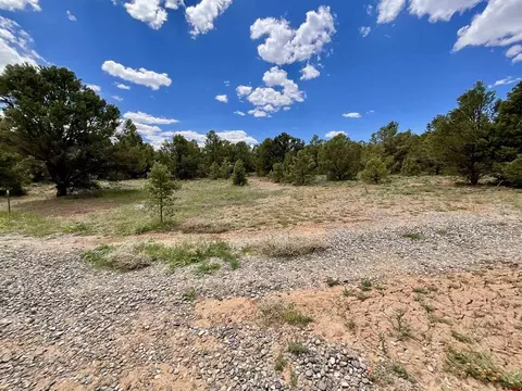 6101 County Road 1 Rd, Montrose, CO 81403 photo 20