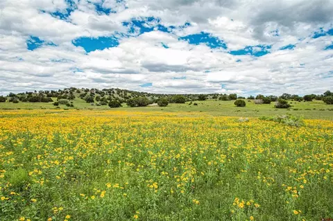 000 Omega Rd #CAT HILL, Quemado, NM 87829