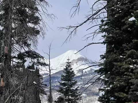 273 Snowden Dr, Durango, CO 81301 photo 26