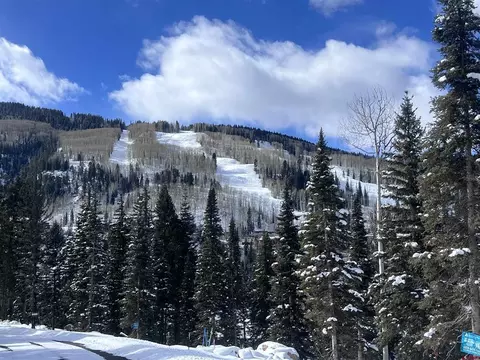 273 Snowden Dr, Durango, CO 81301 photo 17
