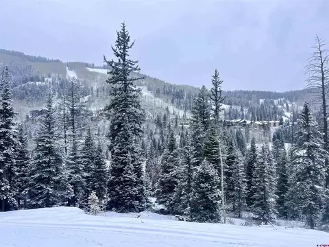 273 Snowden Dr, Durango, CO 81301 photo 24