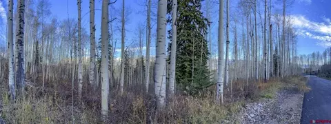 tbd Story Fork Rd, Durango, CO 81301 photo 26