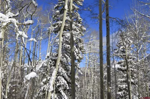 tbd Story Fork Rd, Durango, CO 81301 photo 15