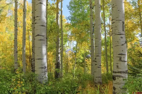 tbd Story Fork Rd, Durango, CO 81301 photo 21