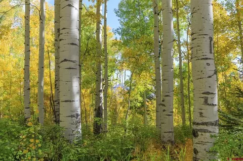tbd Story Fork Rd, Durango, CO 81301 photo 20