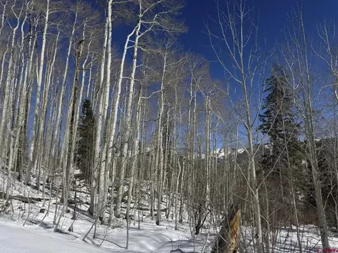 tbd Story Fork Rd, Durango, CO 81301 photo 28