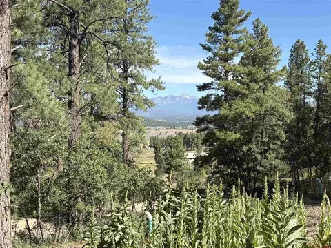 599 Pineview Rd, Pagosa Springs, CO 81147