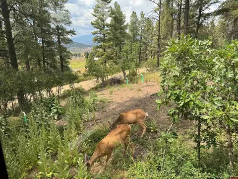 599 Pineview Rd, Pagosa Springs, CO 81147