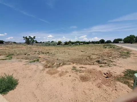 tbd E Driscoll St, Cortez, CO 81321 photo 25