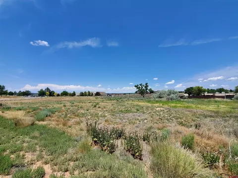 tbd E Driscoll St, Cortez, CO 81321 photo 19