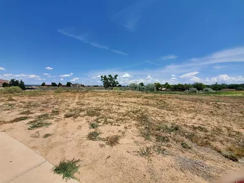 tbd E Driscoll St, Cortez, CO 81321 photo 26