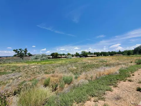 tbd E Driscoll St, Cortez, CO 81321 photo 20