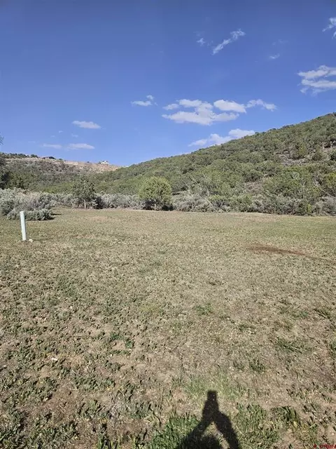 825 SE Pine St, Cedaredge, CO 81413 photo 2