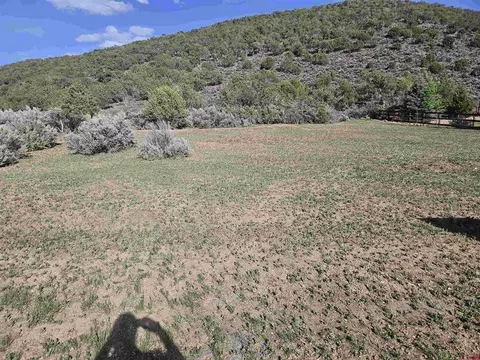 825 SE Pine St, Cedaredge, CO 81413 photo 3