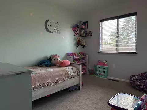 Bedroom - 165 SEagle Ave, Cedaredge, CO 81413 photo 3 of 5