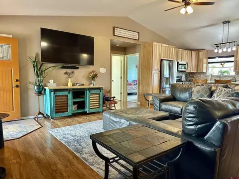 Living - 165 SEagle Ave, Cedaredge, CO 81413 photo 3 of 5