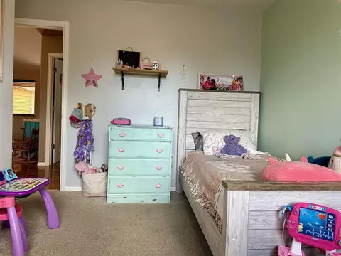 Bedroom - 165 SEagle Ave, Cedaredge, CO 81413 photo 4 of 5
