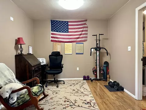 Other - 165 SEagle Ave, Cedaredge, CO 81413 photo 2 of 7