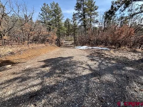 2308 Bull Elk Pl, Pagosa Springs, CO 81147