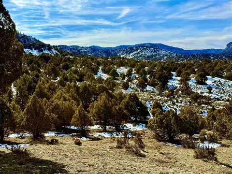 lot27 Riverview Dr, Pagosa Springs, CO 81147