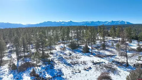 695 Wireweed Ln, Montrose, CO 81403