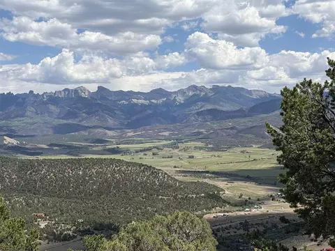 tbd Pine Dr, Ridgway, CO 81432
