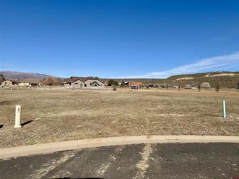320 SE Flagstone Ct, Cedaredge, CO 81413