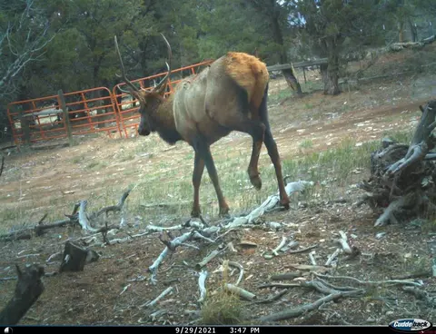 678 3375 Rd, Crawford, CO 81415 photo 37