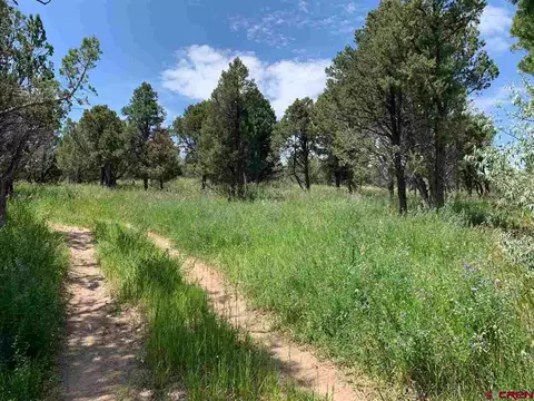 678 3375 Rd, Crawford, CO 81415 photo 35