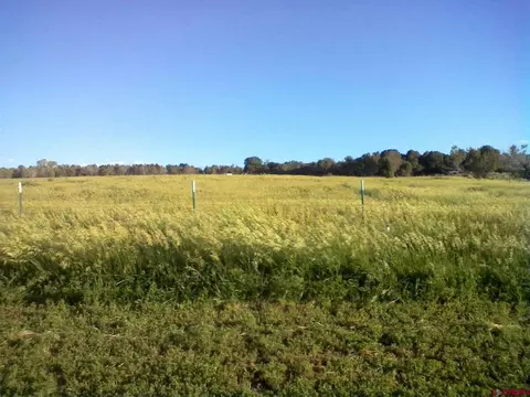 678 3375 Rd, Crawford, CO 81415 photo 39