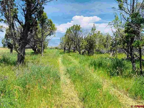 678 3375 Rd, Crawford, CO 81415 photo 36