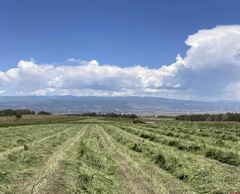 678 3375 Rd, Crawford, CO 81415 photo 23